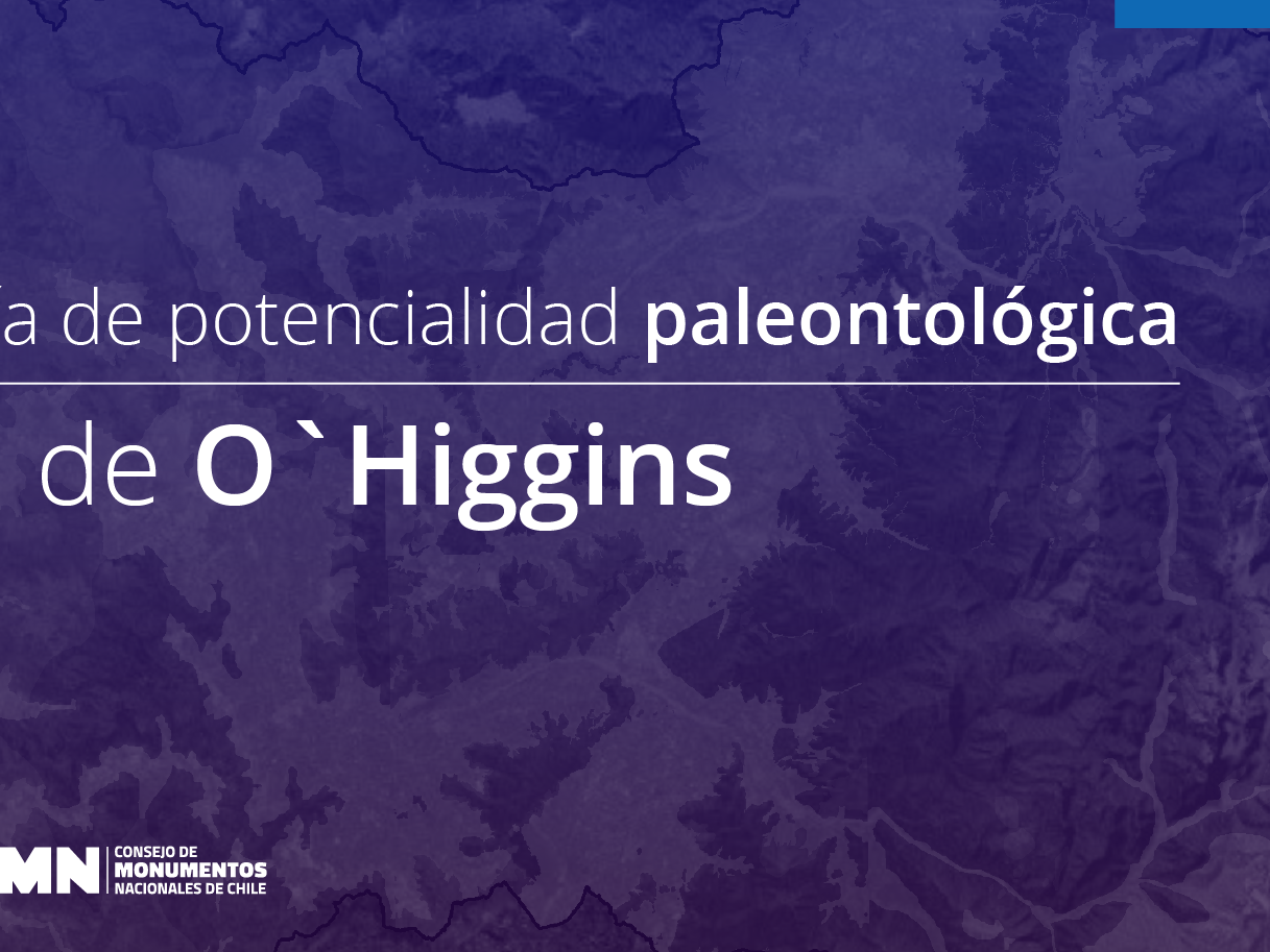 Imagen de Consejo de Monumentos Nacionales revela el potencial paleontológico de la Región de O’Higgins