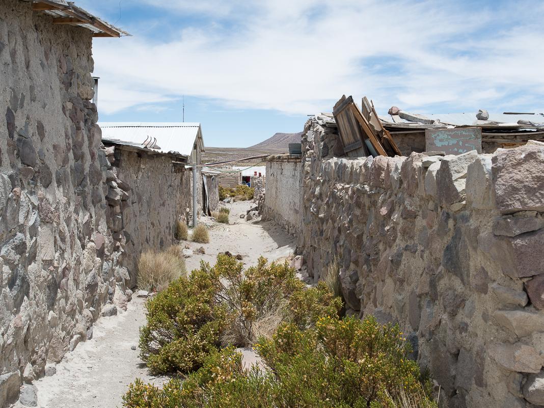 Imagen del monumento Todo el pueblo de Parinacota