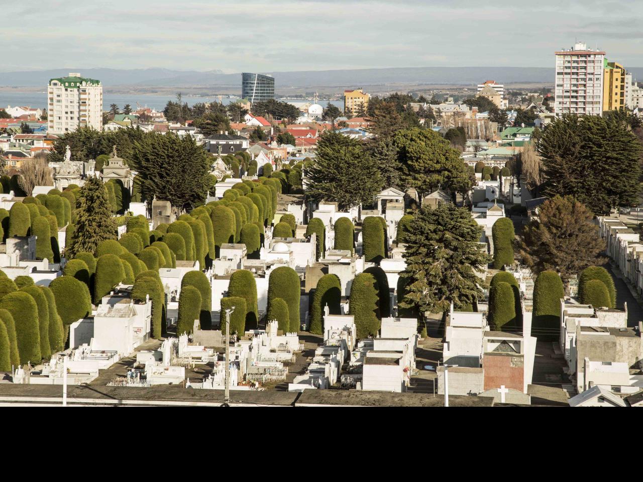 Imagen del monumento Cementerio Municipal de Punta Arenas Sara Braun