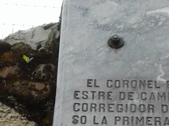 Imagen del monumento Restos del muro de piedra del convento de la Merced