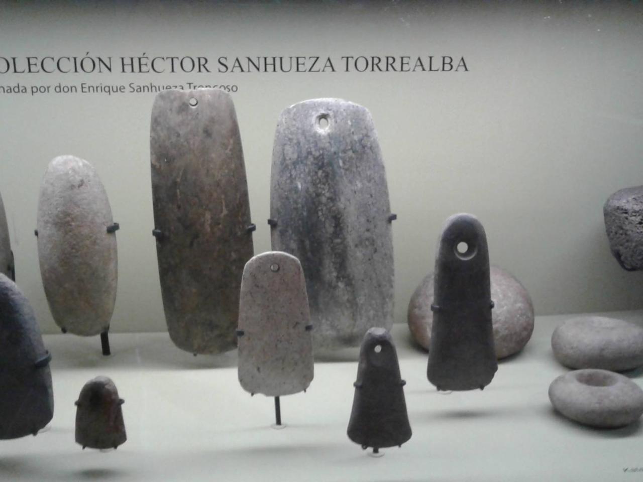 Imagen del monumento Colecciones del Museo de Historia Natural de Concepción, dependiente de la Dirección de Bibliotecas, Archivos y Museos