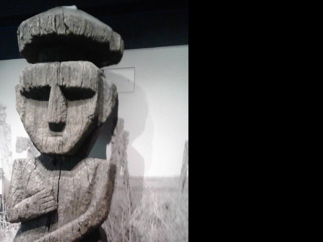 Imagen del monumento Colecciones del Museo de Historia Natural de Concepción, dependiente de la Dirección de Bibliotecas, Archivos y Museos