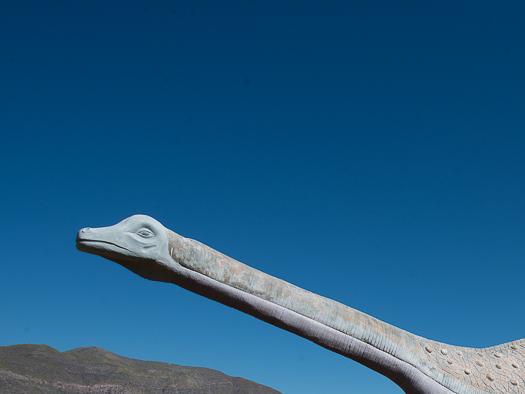 Imagen del monumento Bosque Petrificado y yacimiento de huesos de dinosaurio