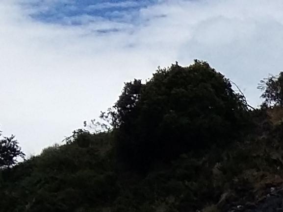 Imagen del monumento Capilla de Mármol