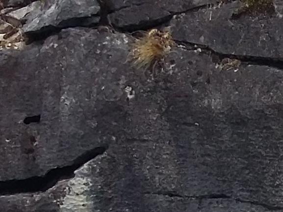 Imagen del monumento Capilla de Mármol