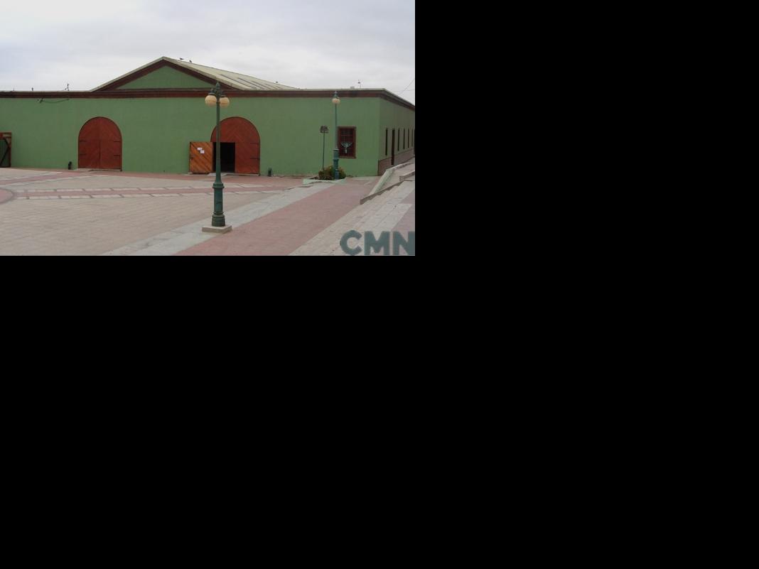 Imagen del monumento Estación de Ferrocarrill de Caldera
