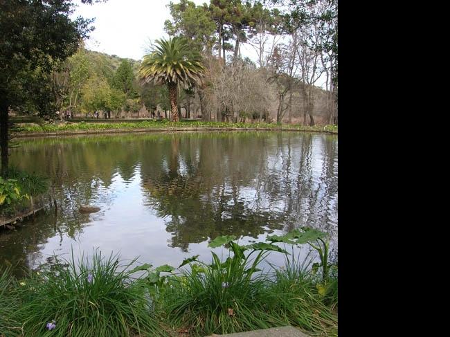 Imagen del monumento Parque de la Viña Santa Rita