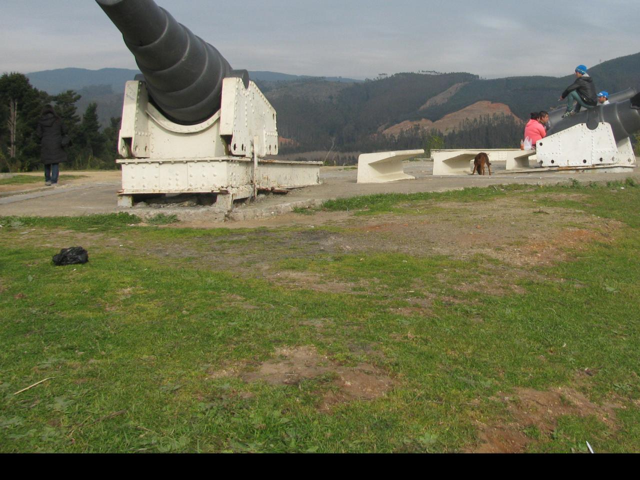 Imagen del monumento Fuerte de Colcura