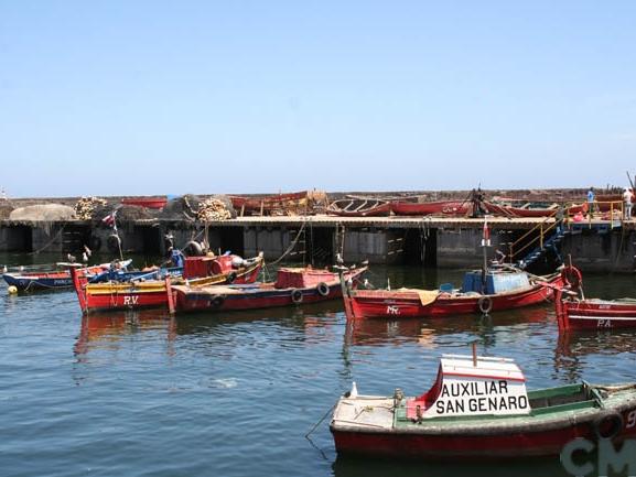 Imagen del monumento Molo y muelle de la ex Compañía de Salitre