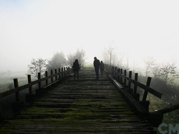 Imagen del monumento Puente viejo sobre el Río Itata