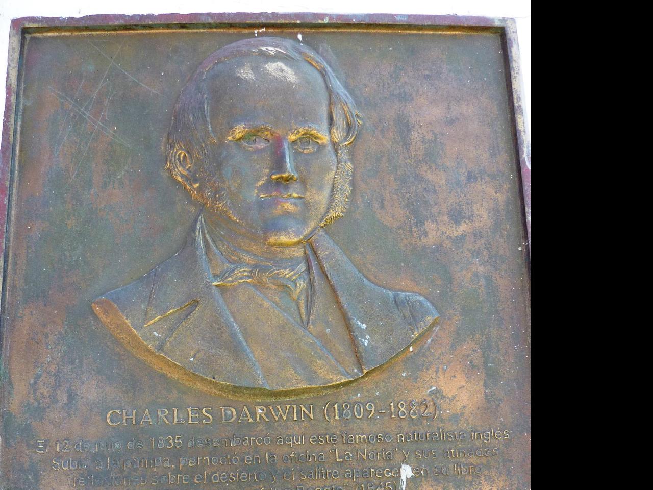 Imagen del monumento Charles Darwin