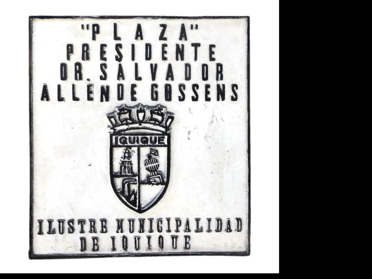 Imagen del monumento Dr. Salvador AllenDe Gossens