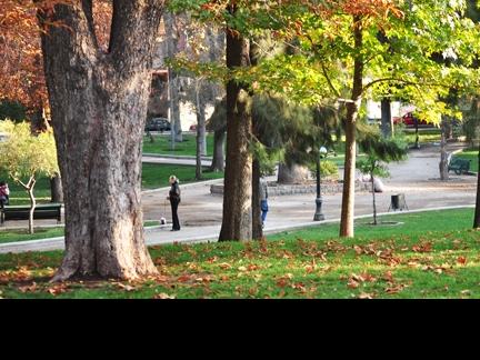 Imagen del monumento Parque Forestal y entorno que señala