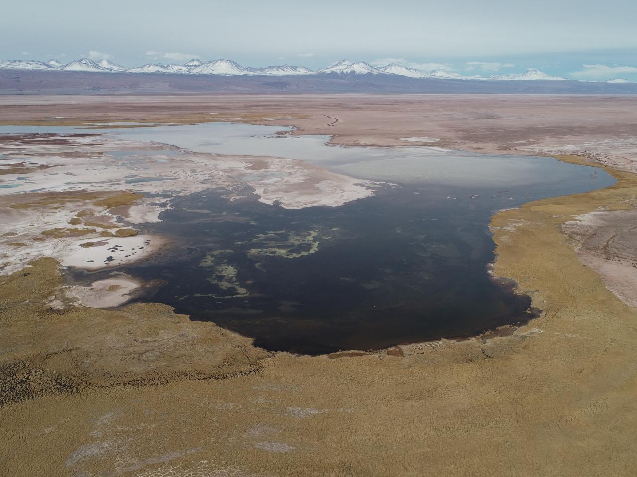 Imagen del monumento Laguna Tebenquiche
