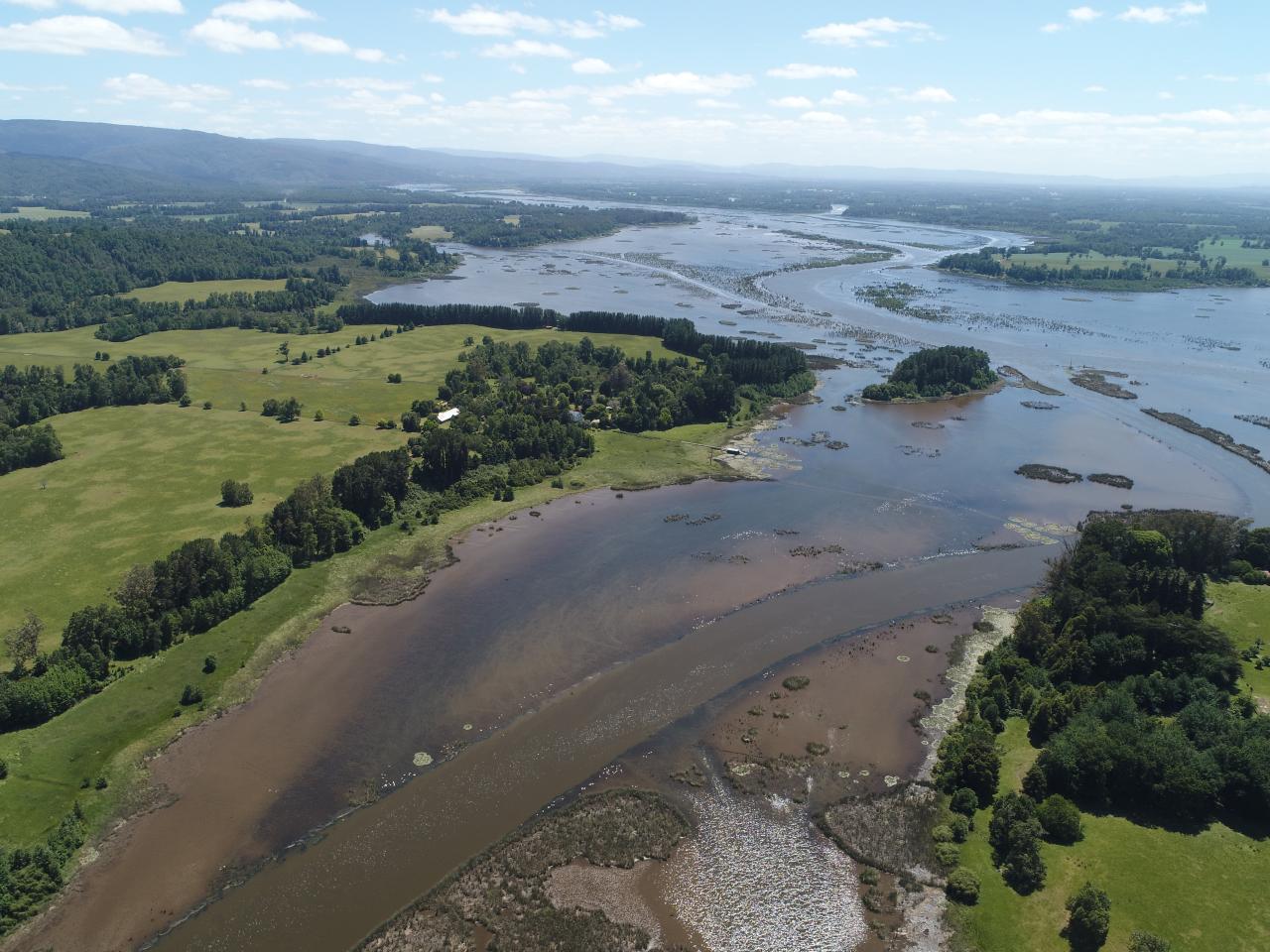 Imagen del monumento Zona húmeda de los alrededores de la ciudad de Valdivia