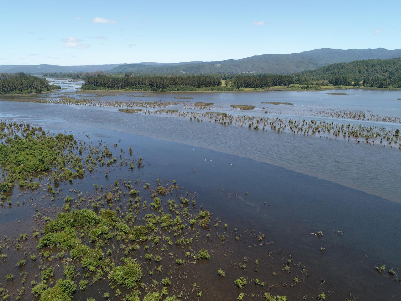 Imagen del monumento Zona húmeda de los alrededores de la ciudad de Valdivia