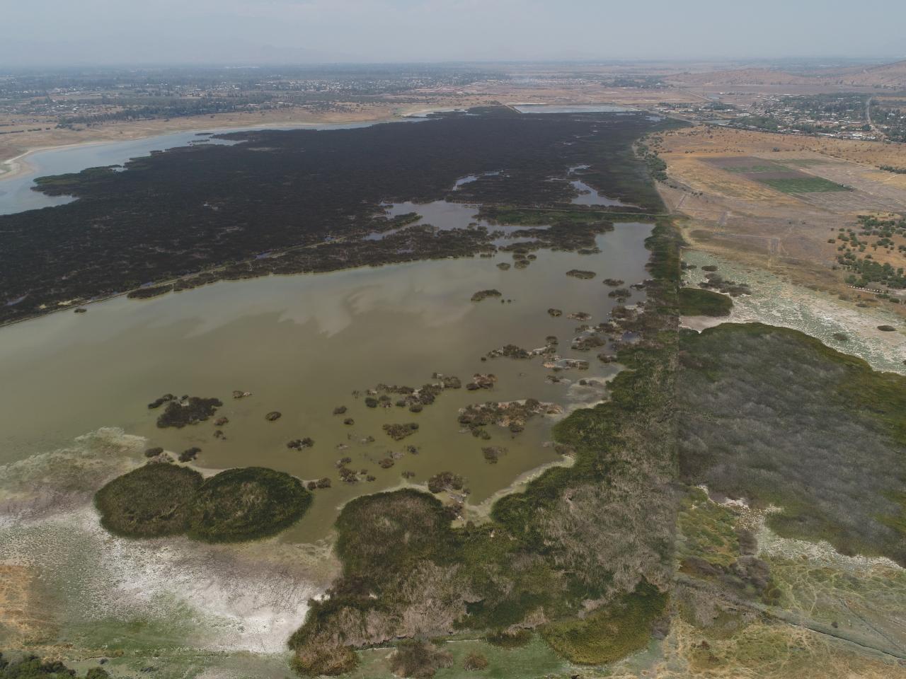 Imagen del monumento Laguna de Batuco