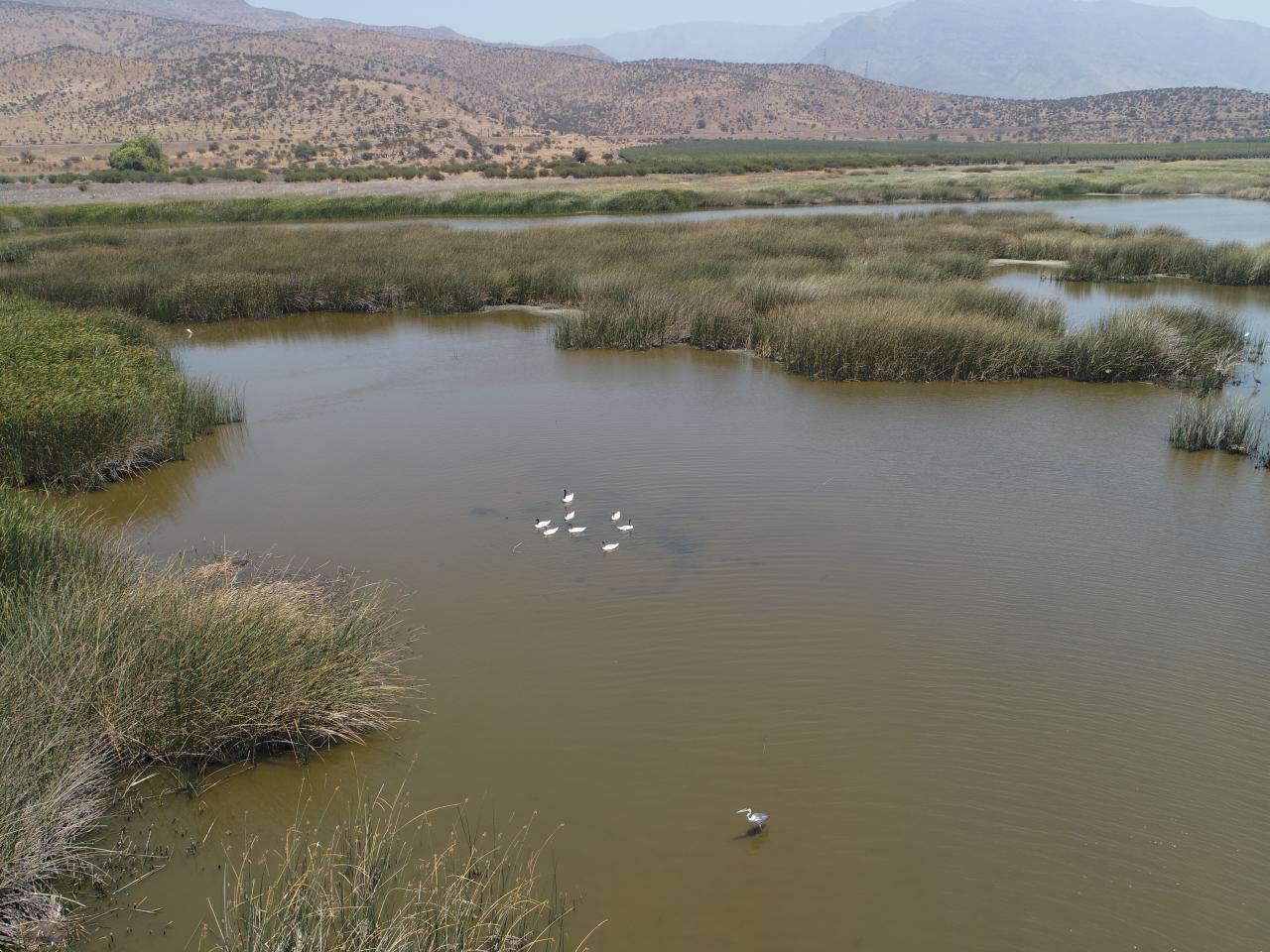 Imagen del monumento Laguna de Batuco