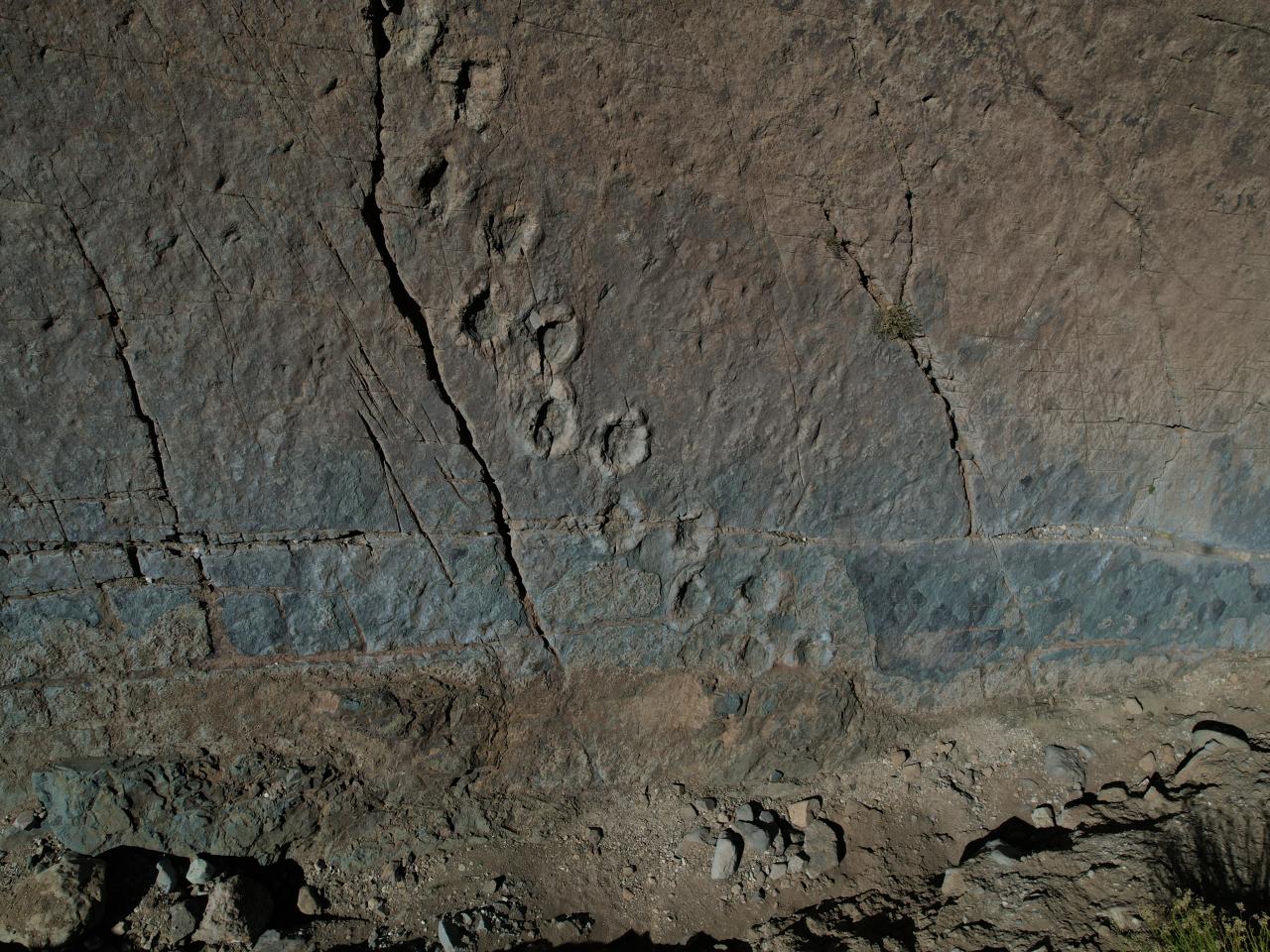 Imagen del monumento Sitio donde se conservan huellas de animales extinguidos en el lugar denominado &amp;quot;Termas del Flaco&amp;quot;