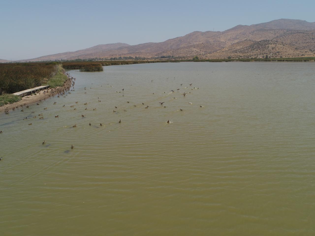 Imagen del monumento Laguna de Batuco