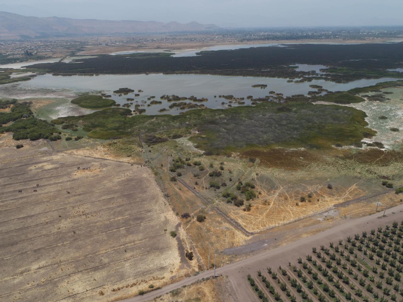 Imagen del monumento Laguna de Batuco