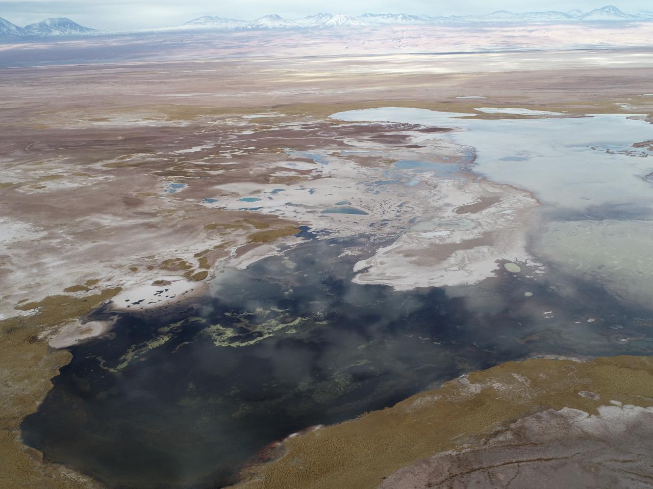 Imagen del monumento Laguna Tebenquiche