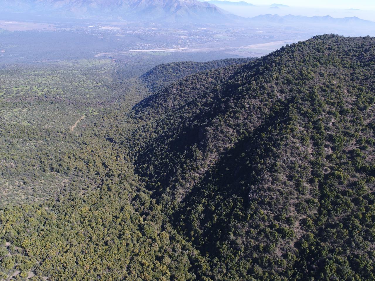 Imagen del monumento Torcazas de Pirque