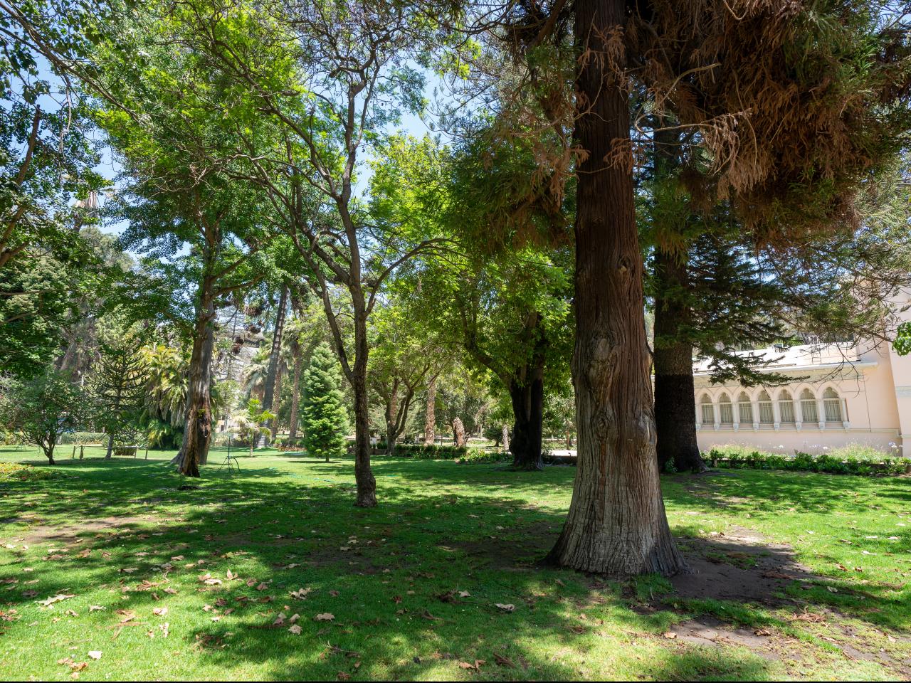 Imagen del monumento Palacio y Parque Vergara