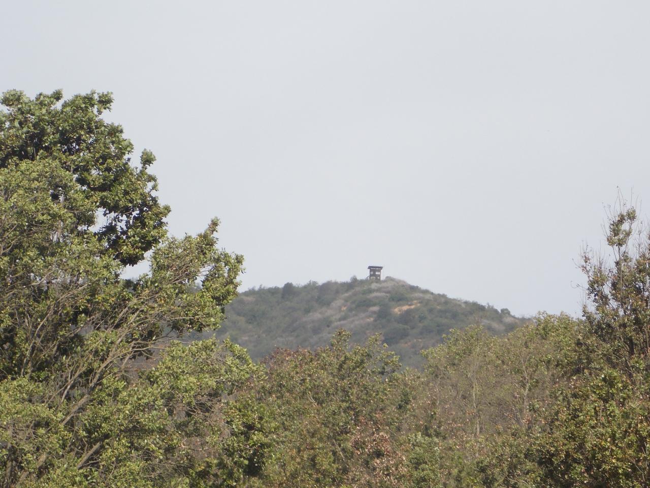 Imagen del monumento Altos de Cantillana-Horcón de Piedras y Roblería Cajón de Lisboa