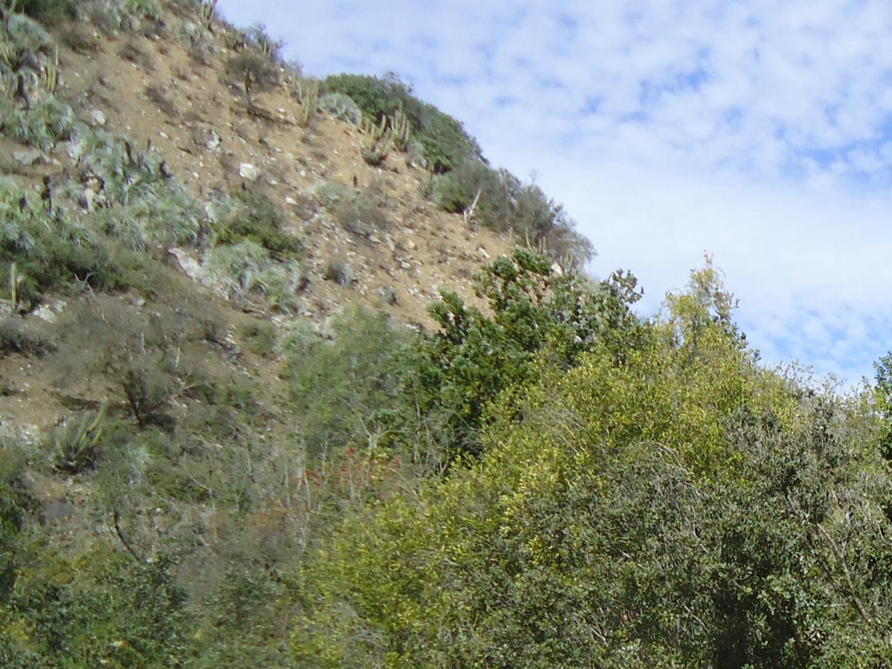Imagen del monumento Quebrada Llau Llau