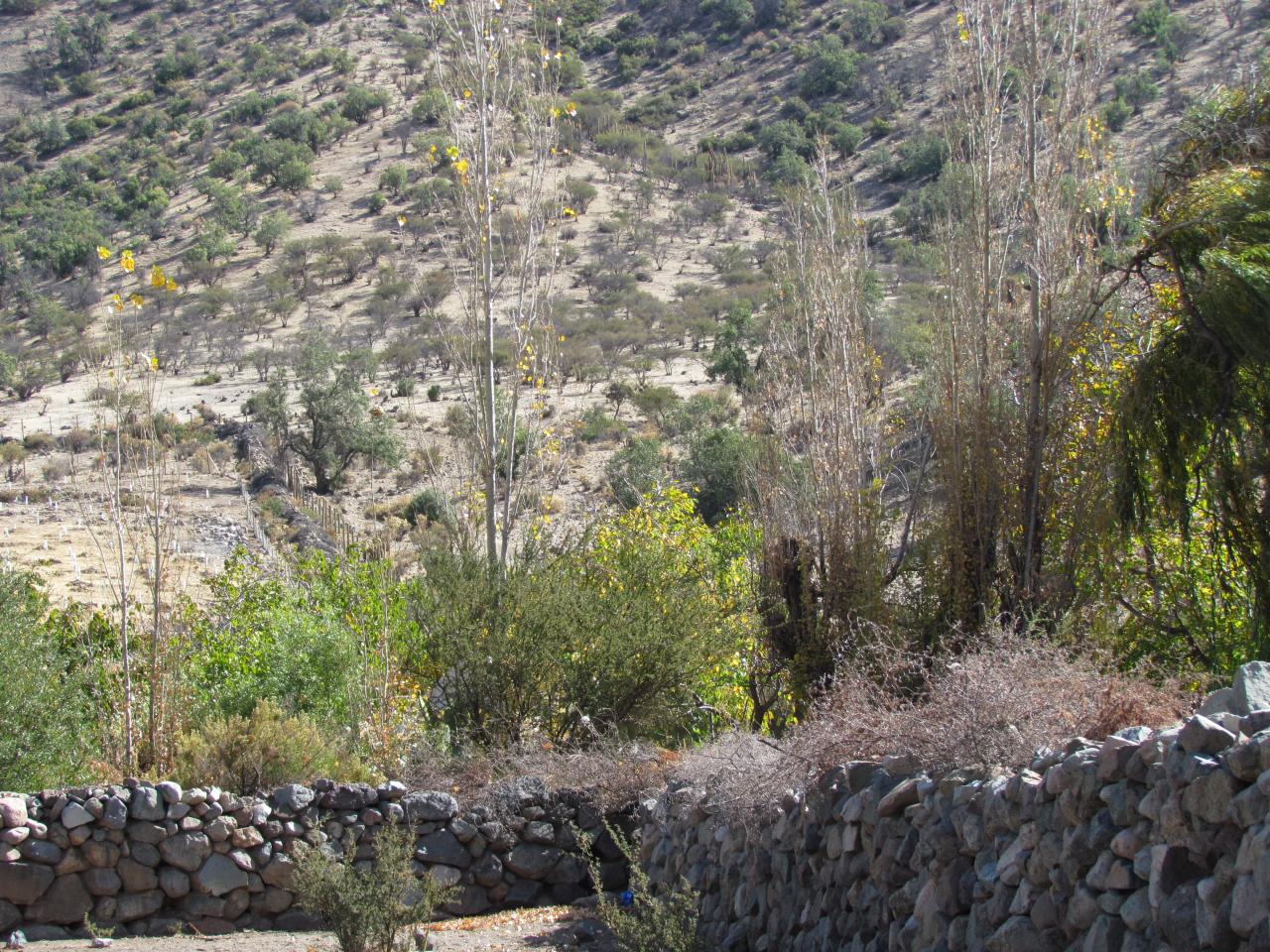 Imagen del monumento Sitio Histórico y Arqueológico &amp;amp;quot;Corrales de Chalaco&amp;amp;quot;