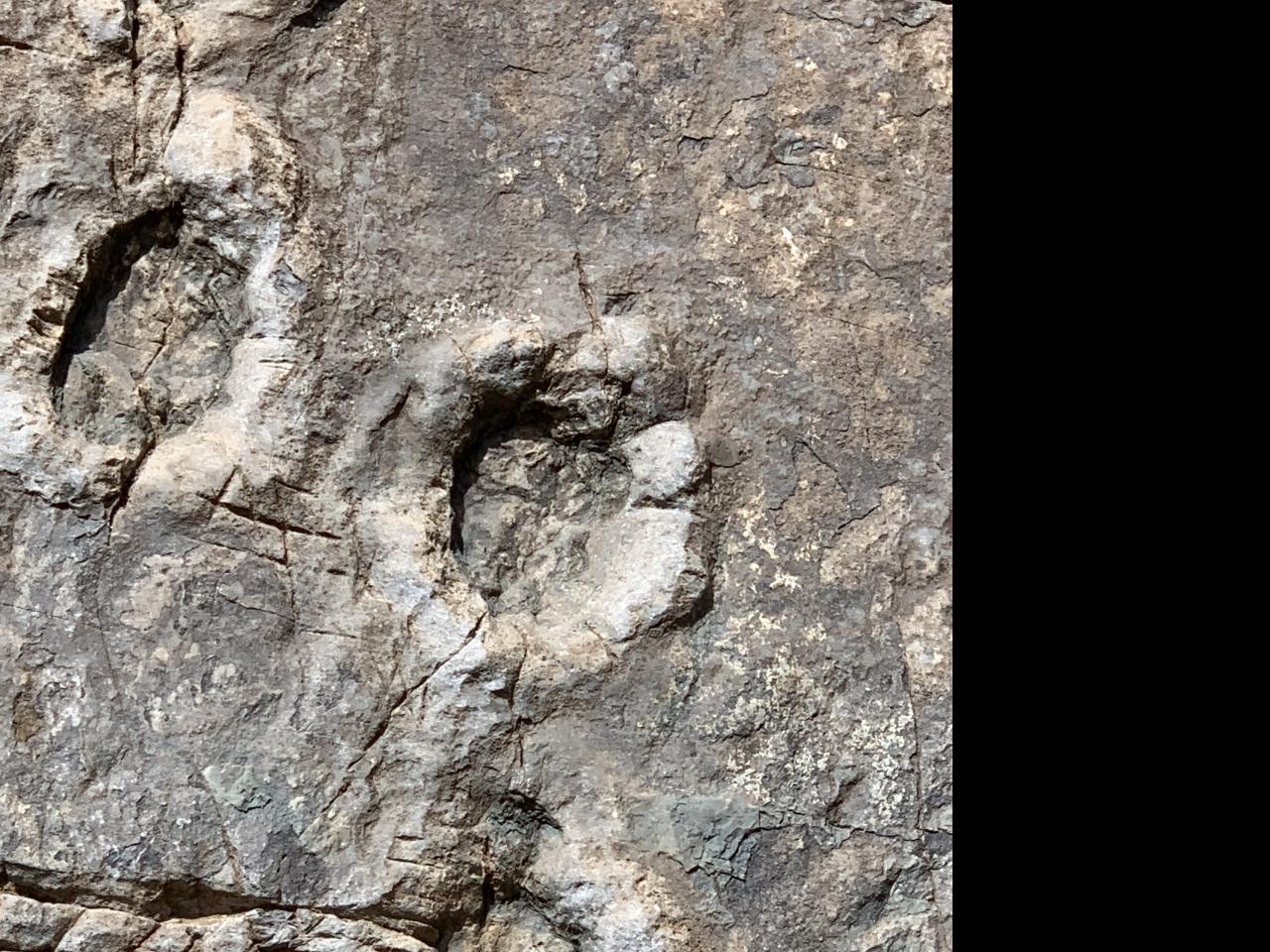 Imagen del monumento Sitio donde se conservan huellas de animales extinguidos en el lugar denominado &amp;amp;quot;Termas del Flaco&amp;amp;quot;