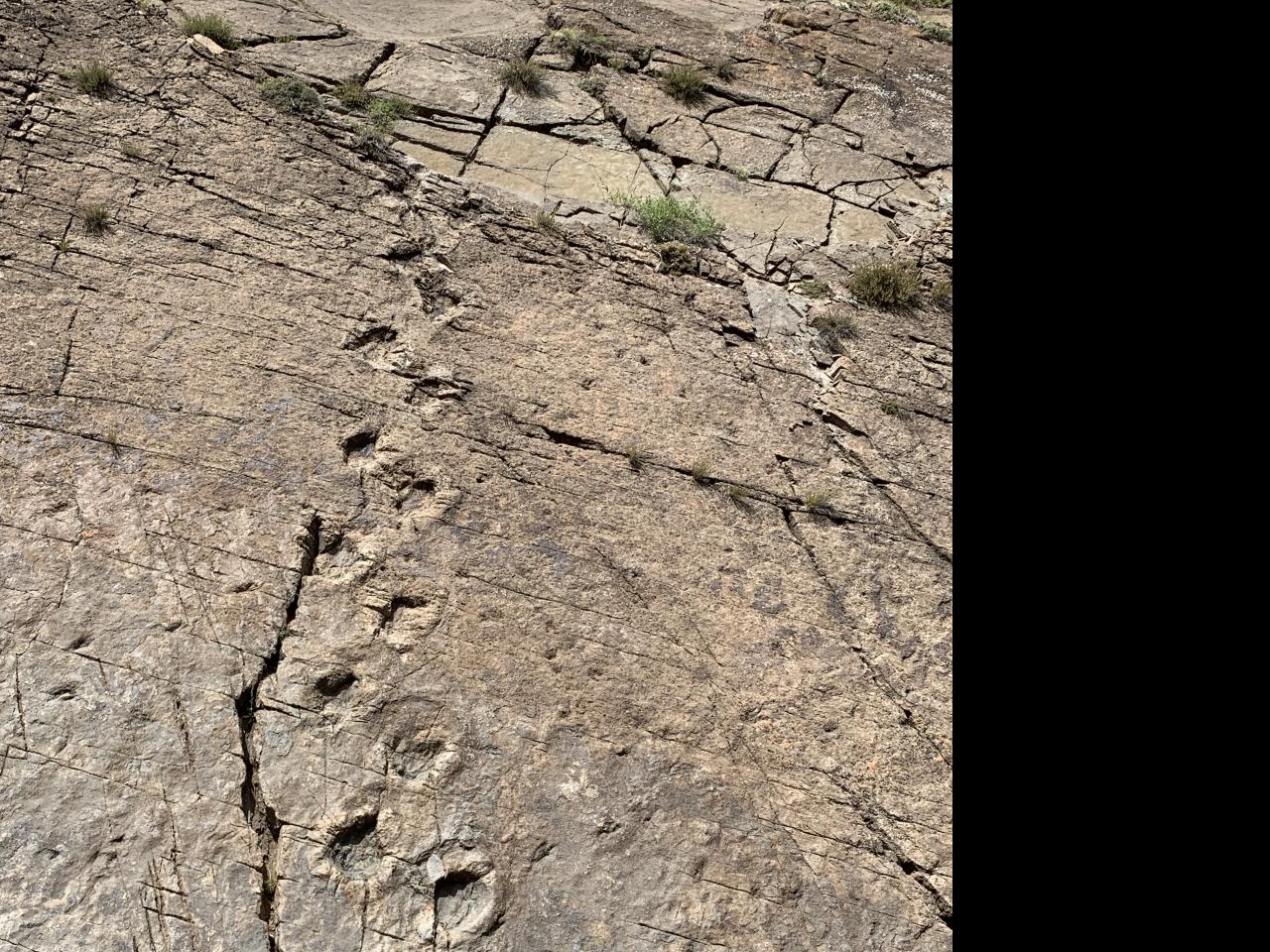 Imagen del monumento Sitio donde se conservan huellas de animales extinguidos en el lugar denominado &amp;amp;quot;Termas del Flaco&amp;amp;quot;