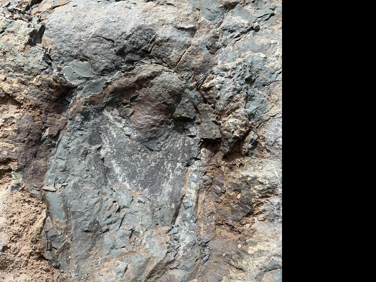 Imagen del monumento Sitio donde se conservan huellas de animales extinguidos en el lugar denominado &amp;amp;quot;Termas del Flaco&amp;amp;quot;