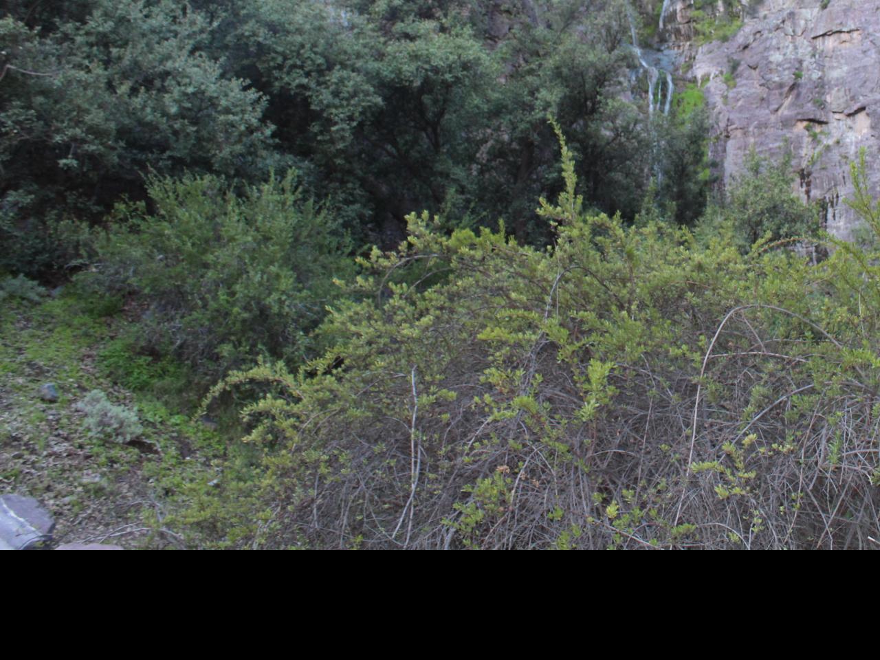 Imagen del monumento Raja de Manquehua - Poza Azul