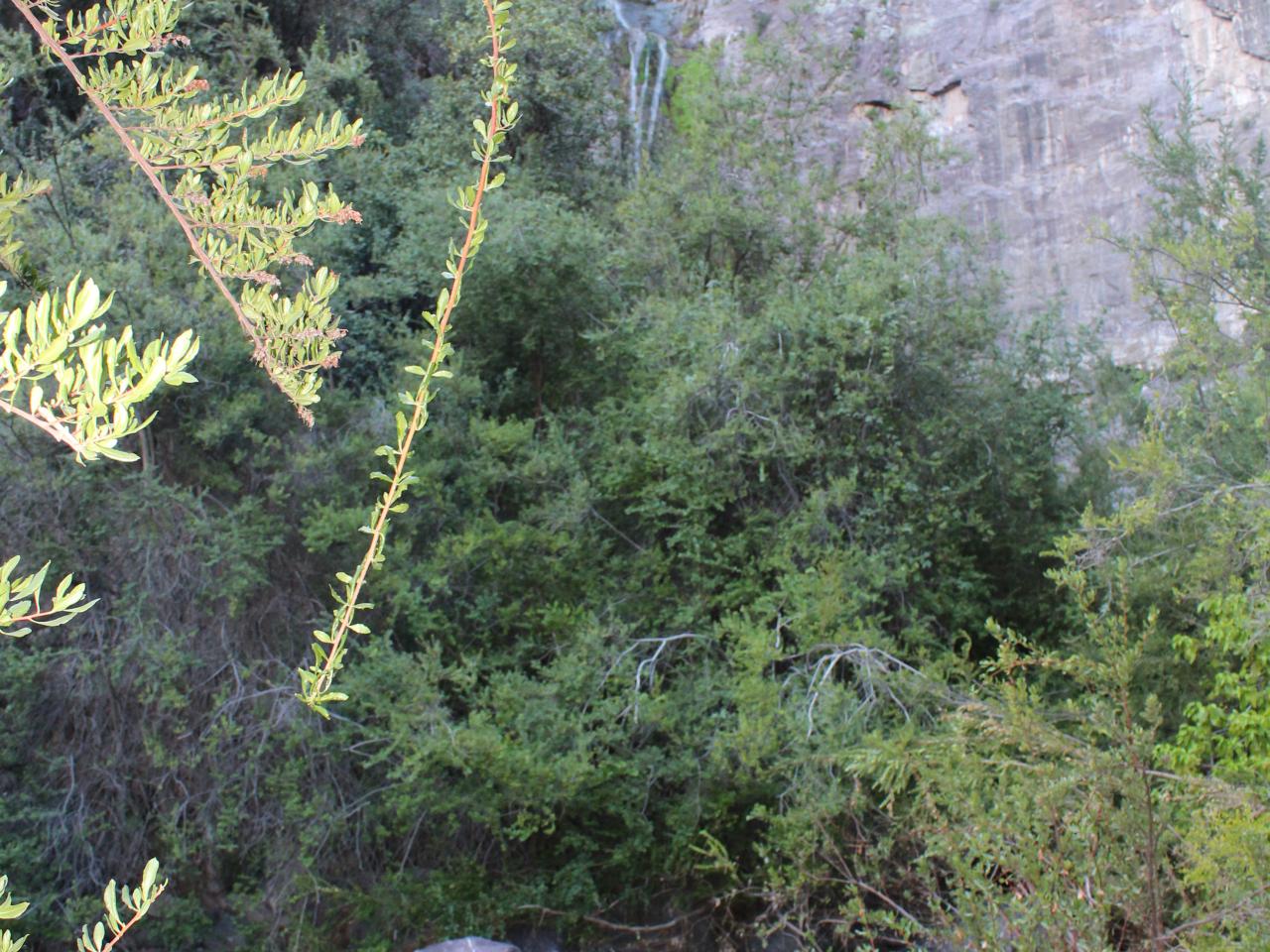 Imagen del monumento Raja de Manquehua - Poza Azul
