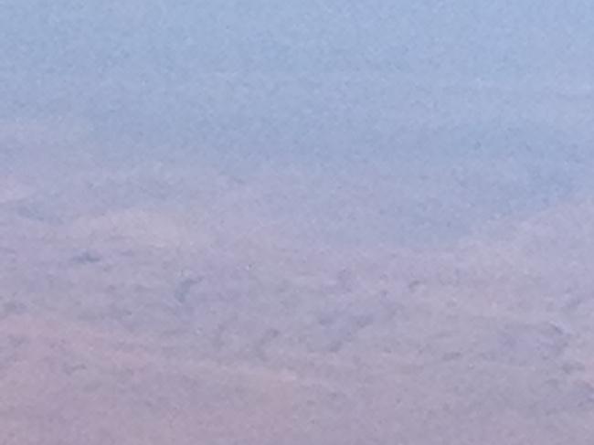 Imagen del monumento Salar de Huasco