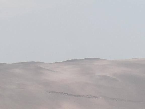 Imagen del monumento Humedal de la desembocadura del río Lluta