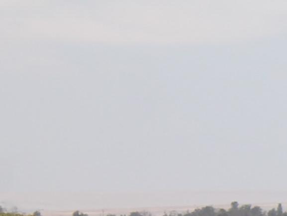 Imagen del monumento Humedal de la desembocadura del río Lluta