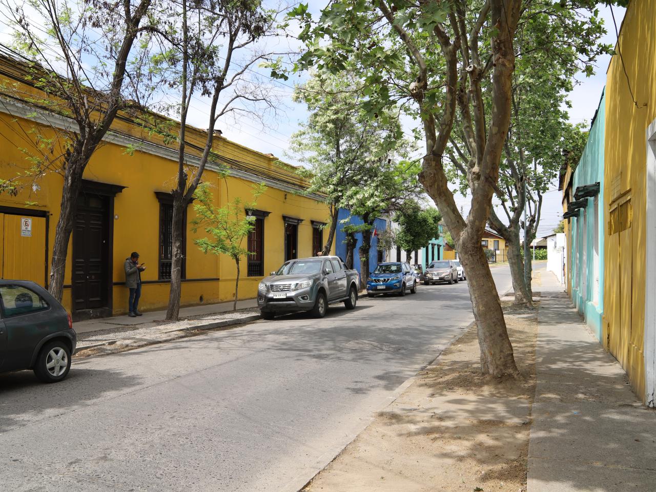Imagen del monumento Pasaje Trenova