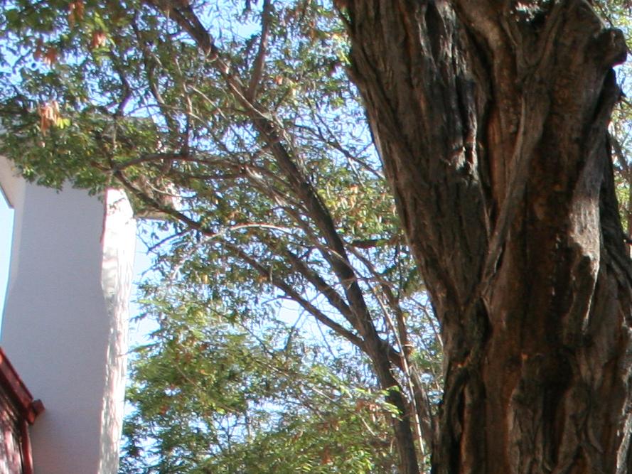 Imagen del monumento Internado Nacional Barros Arana