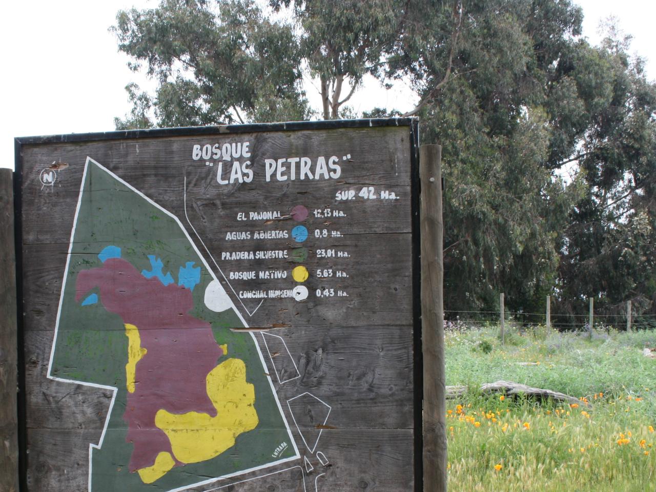 Imagen del monumento Bosque Las Petras de Quintero y su entorno