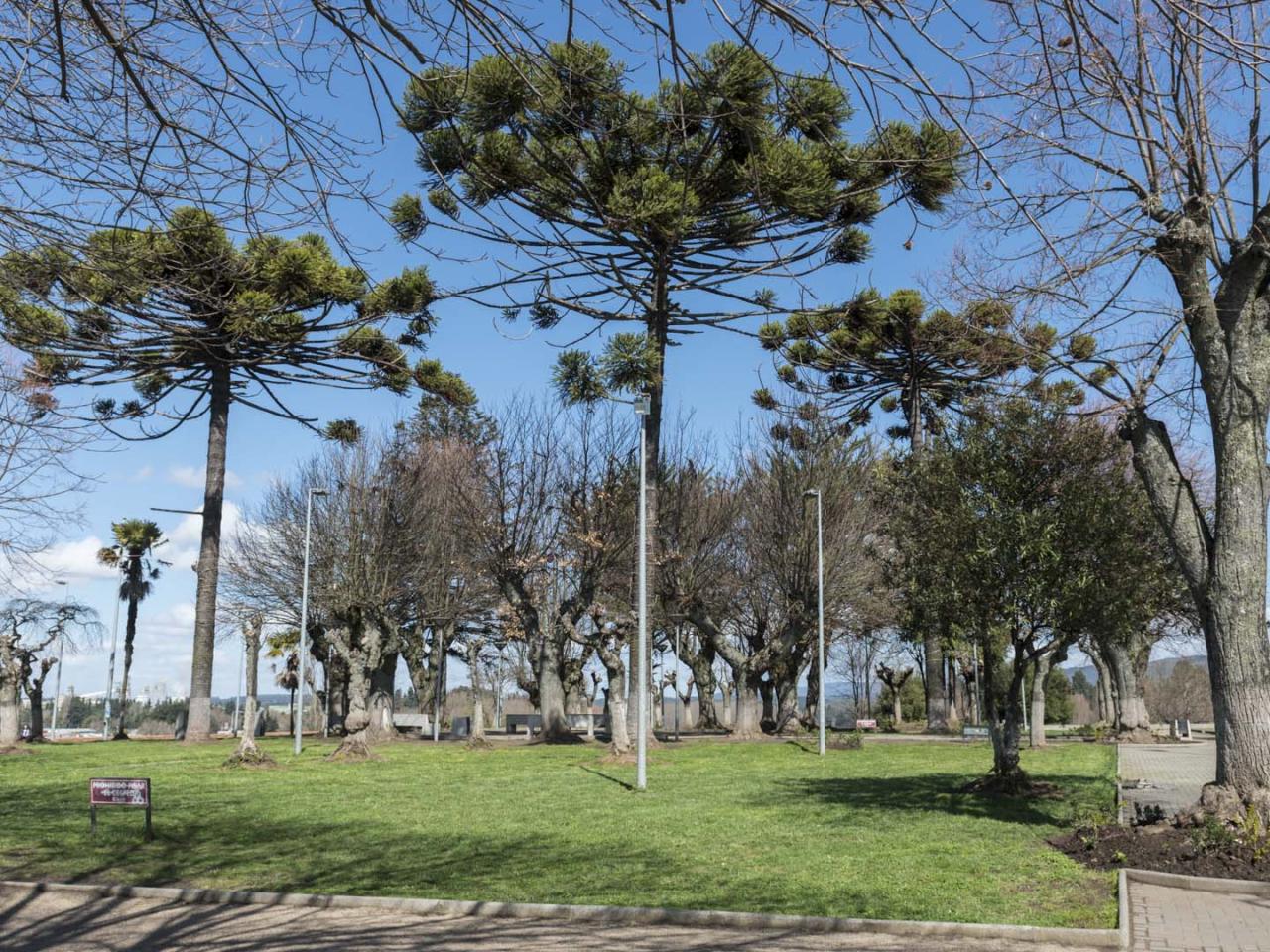 Imagen del monumento Fuerte de Nacimiento