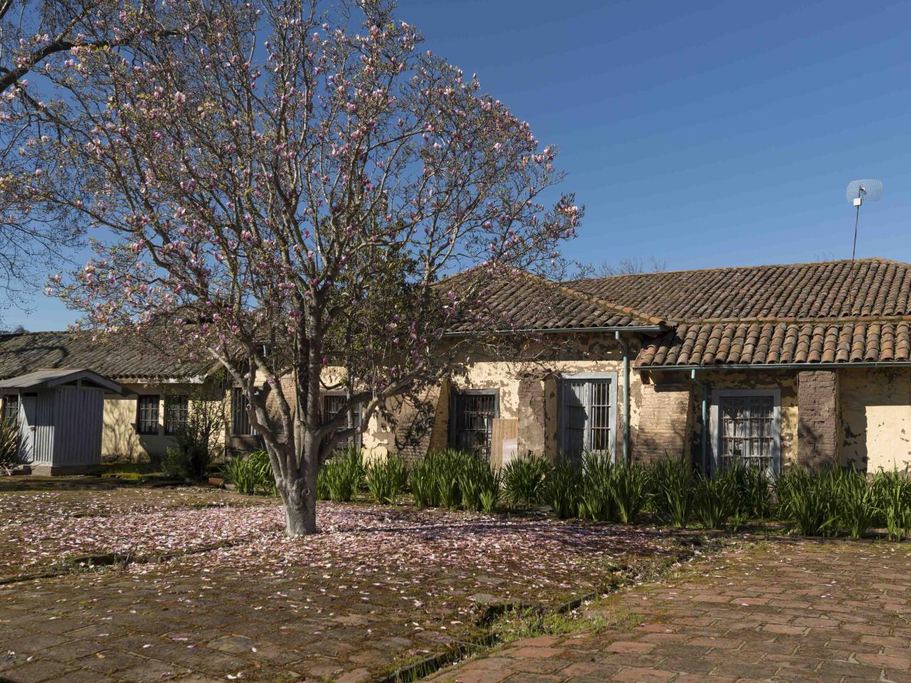 Imagen del monumento Casa Patronal, Capilla y dependencias contiguas de la Hacienda San José del Carmen El Huique