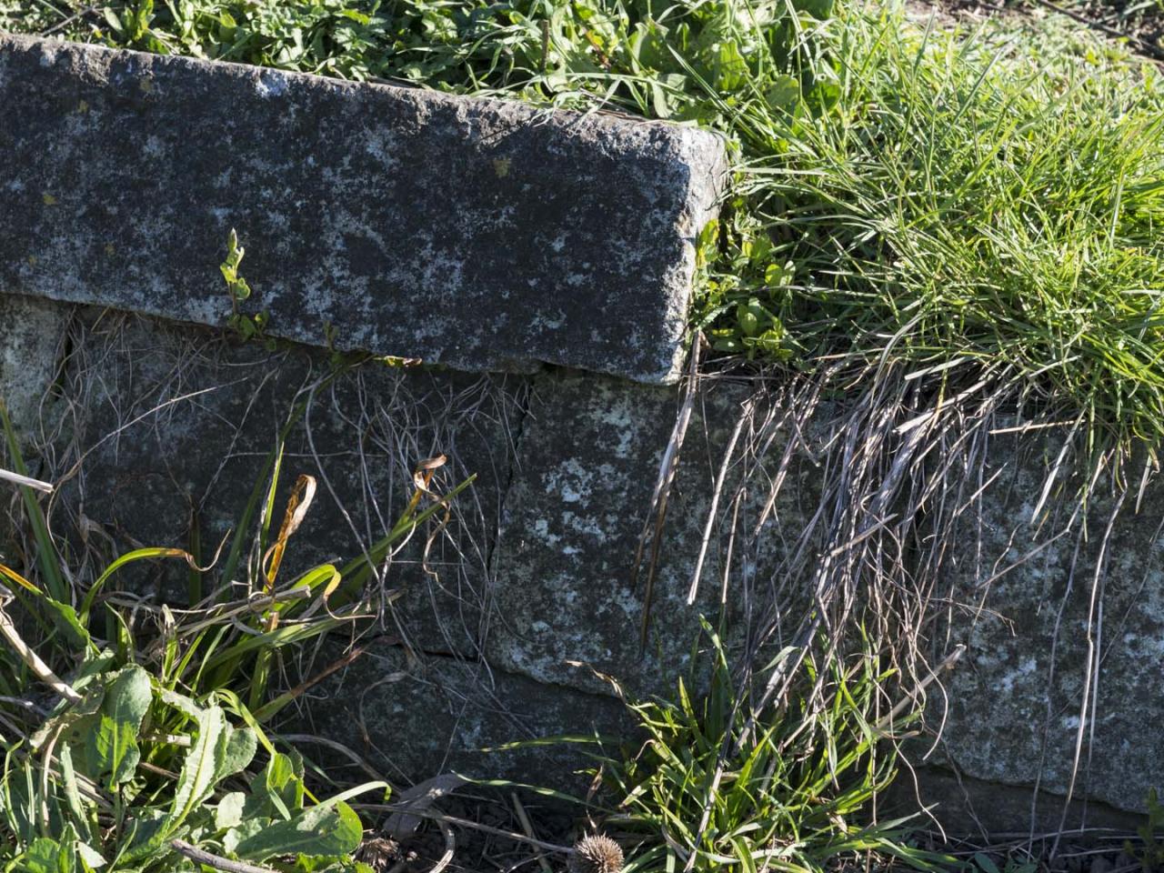 Imagen del monumento Fuerte San Carlos de Purén