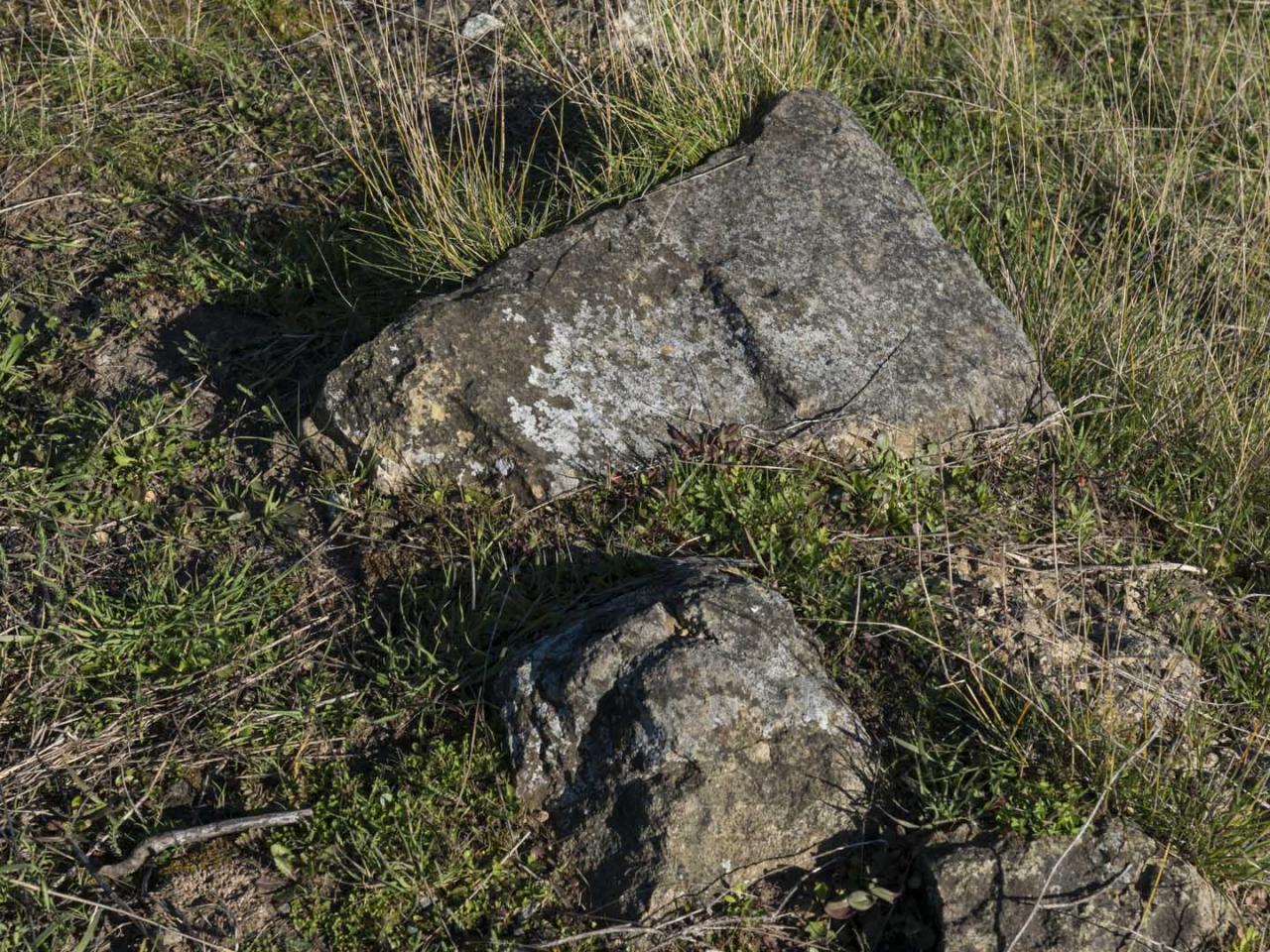 Imagen del monumento Fuerte San Carlos de Purén