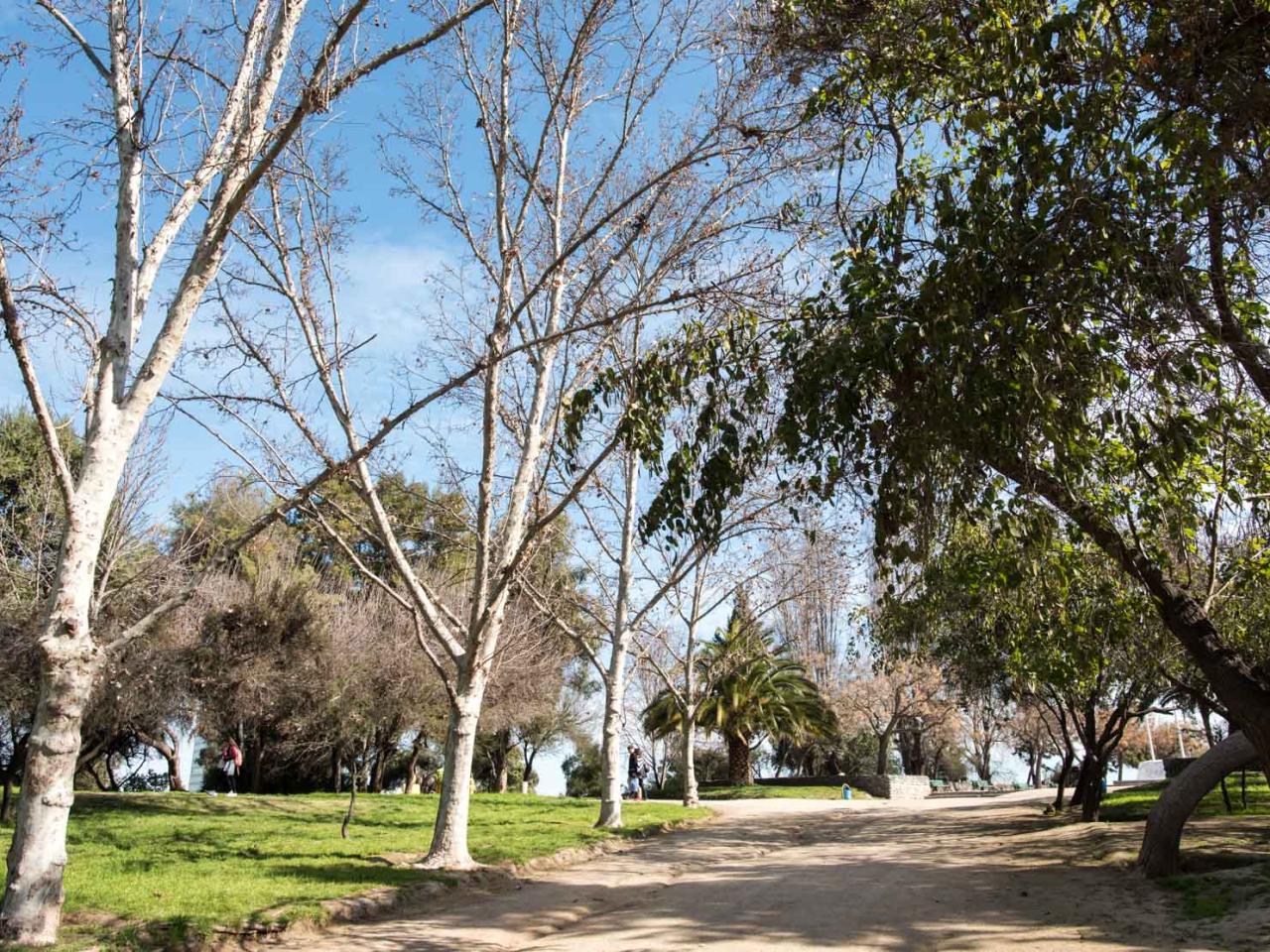 Imagen del monumento Cerro Primo de Rivera o Los Pajaritos