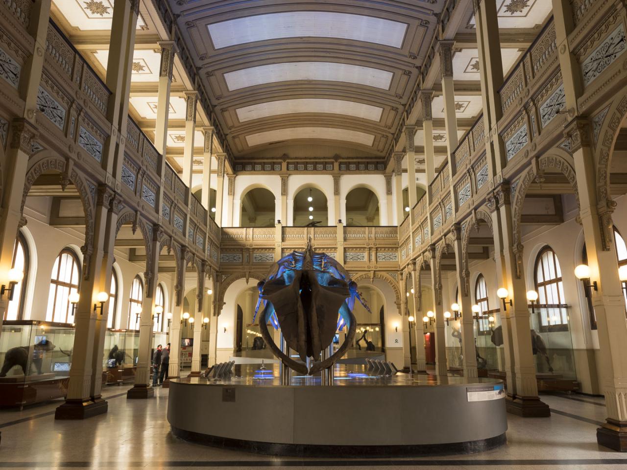 Imagen del monumento Edificio del Museo Nacional de Historia Natural