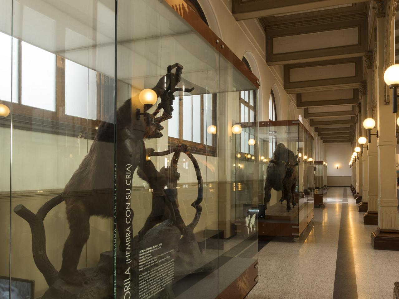 Imagen del monumento Edificio del Museo Nacional de Historia Natural
