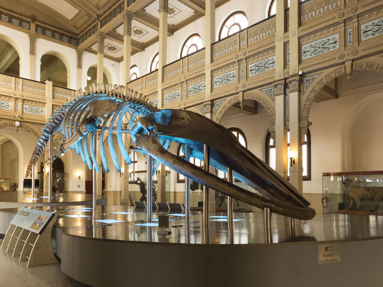 Imagen del monumento Edificio del Museo Nacional de Historia Natural